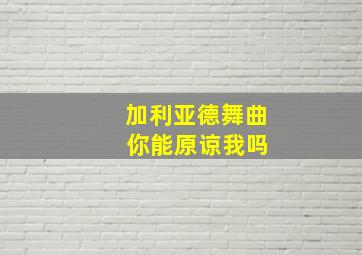 加利亚德舞曲 你能原谅我吗